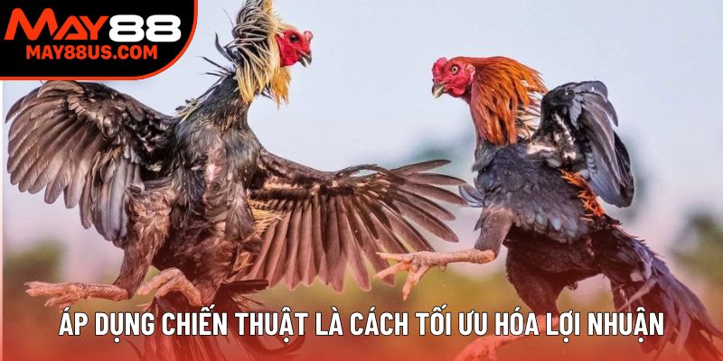 Áp dụng chiến thuật là cách tối ưu hóa lợi nhuận Áp dụng chiến thuật là cách tối ưu hóa lợi nhuận