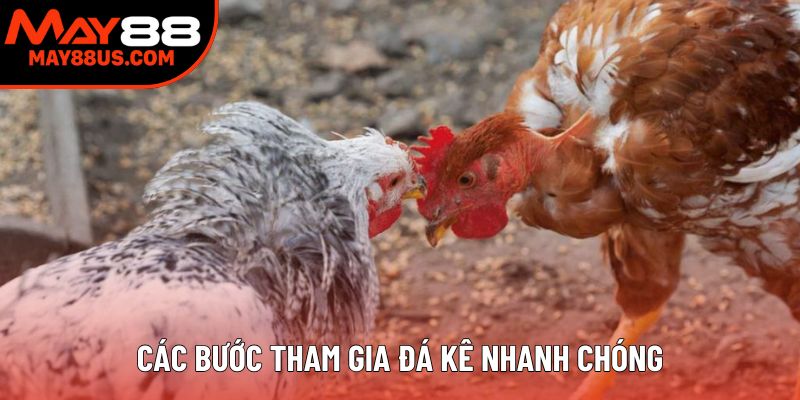 Các bước tham gia đá gà Campuchia online nhanh chóng Các bước tham gia đá gà Campuchia online nhanh chóng