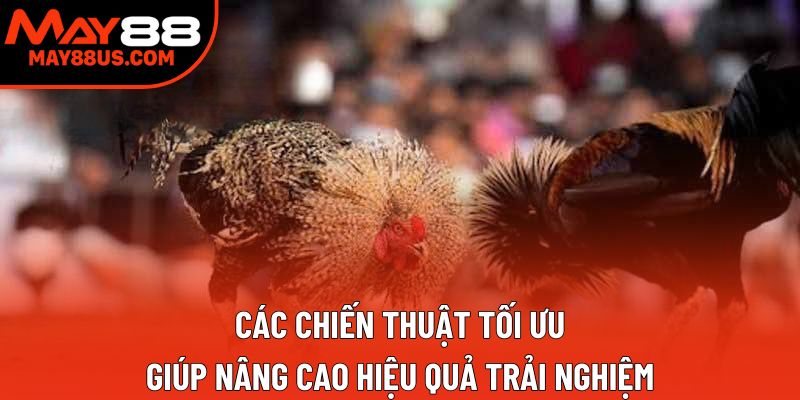 Các chiến thuật tối ưu giúp nâng cao hiệu quả trải nghiệm Các chiến thuật tối ưu giúp nâng cao hiệu quả trải nghiệm
