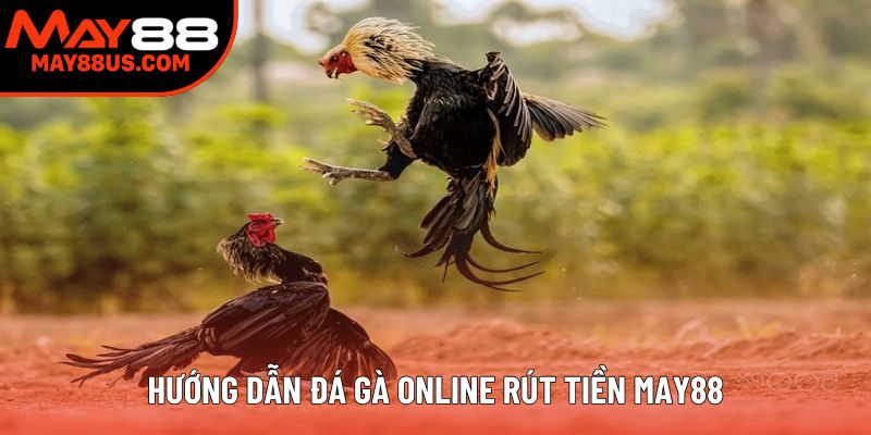 Hướng dẫn đá gà online rút tiền May88 Hướng dẫn đá gà online rút tiền May88