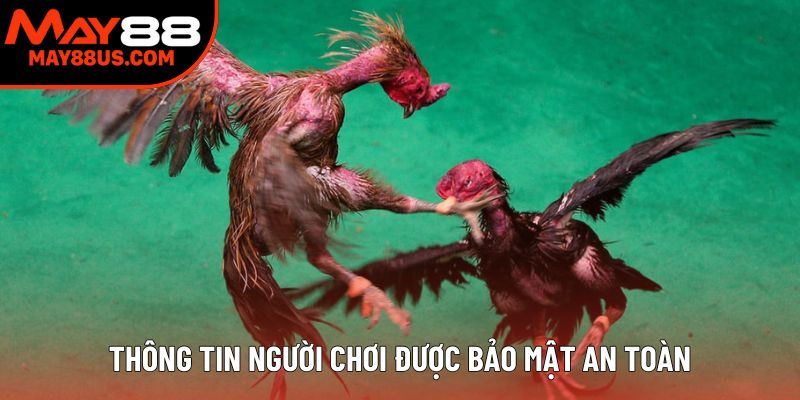 Thông tin người chơi được bảo mật an toàn Thông tin người chơi được bảo mật an toàn